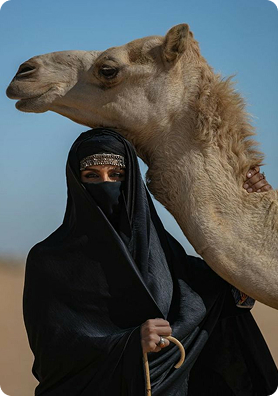 Live stream with camel